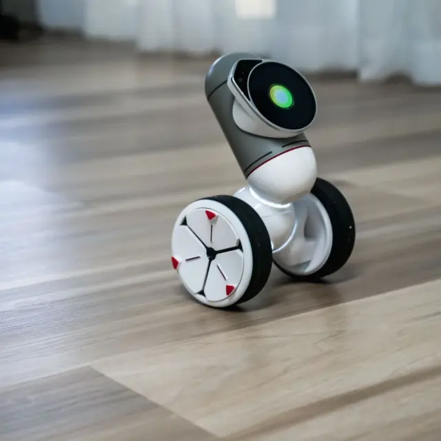 Neural Network Control for Robots